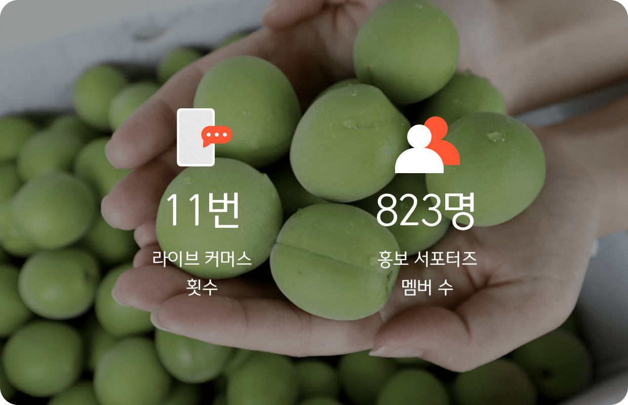 서울시 상생상회 라이브 커머스 횟수 11번, 홍보 서포터즈 멤버수 823명
